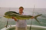 Common Dolphinfish